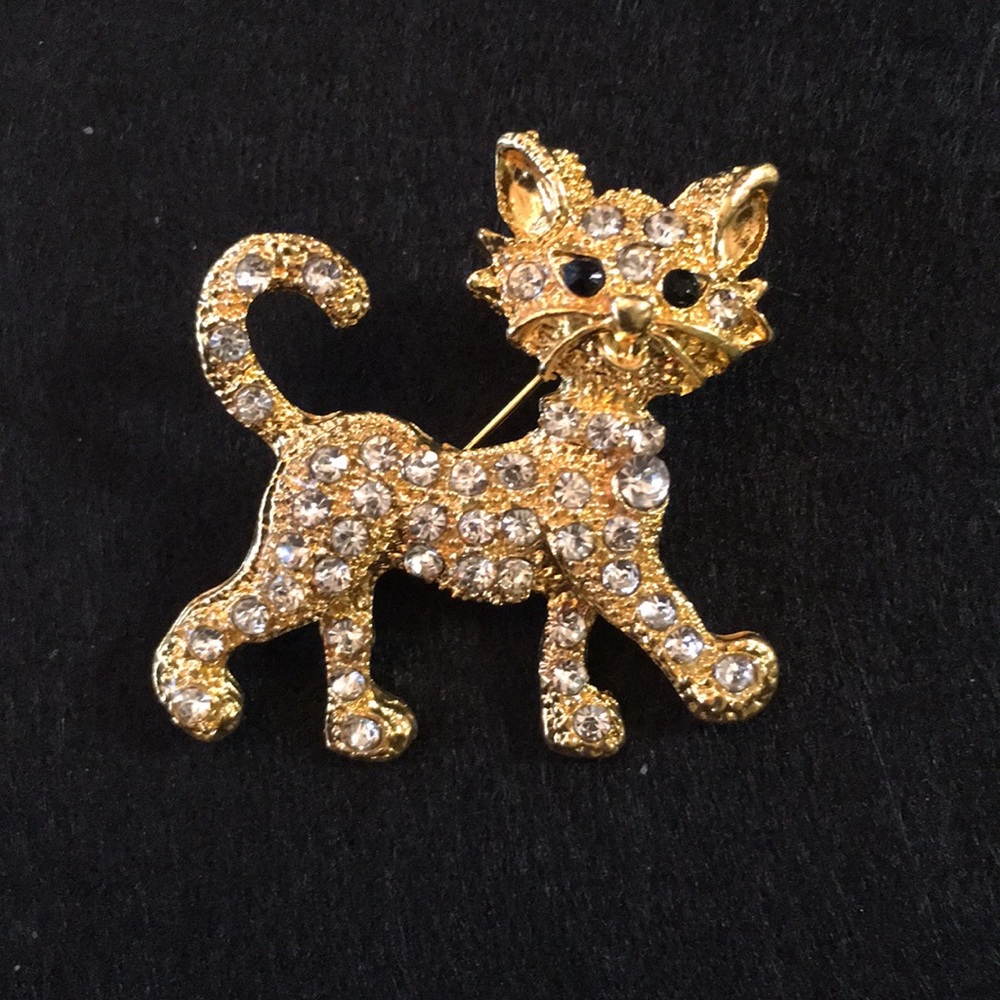 Gold cat pin